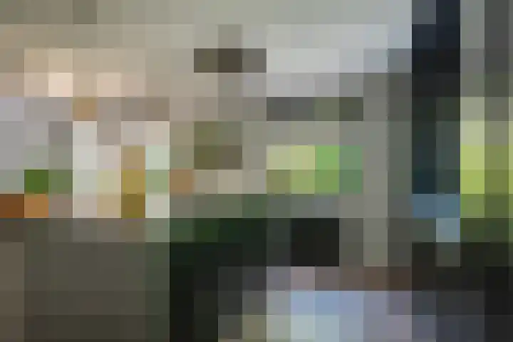 Westerkimme 28 Marknesse thumbnail 38