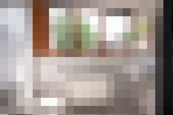 Westerkimme 28 Marknesse thumbnail 40