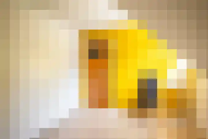 Westerkimme 28 Marknesse thumbnail 43