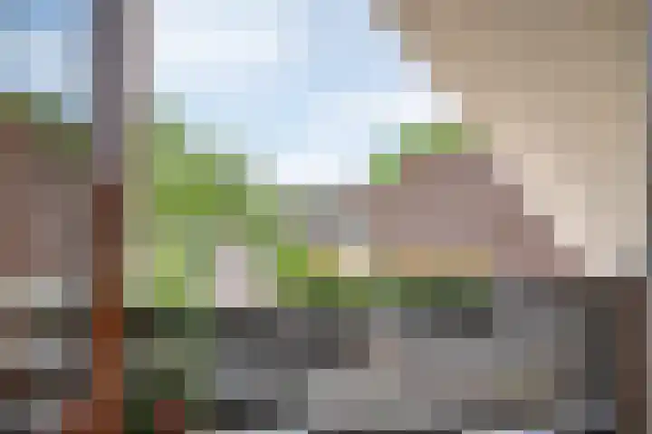 Westerkimme 28 Marknesse thumbnail 45