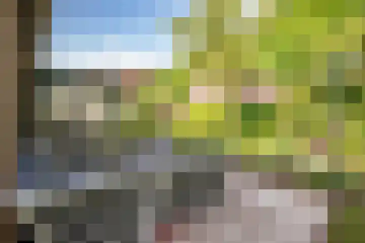 Westerkimme 28 Marknesse thumbnail 5
