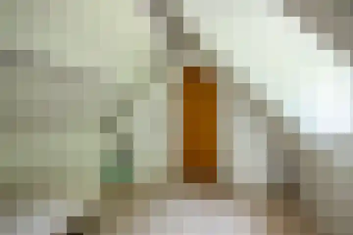 Westerkimme 28 Marknesse thumbnail 55