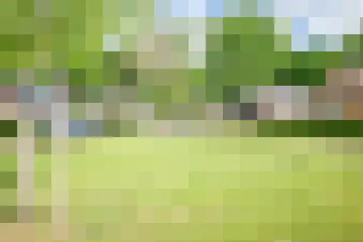 Westerkimme 28 Marknesse thumbnail 59