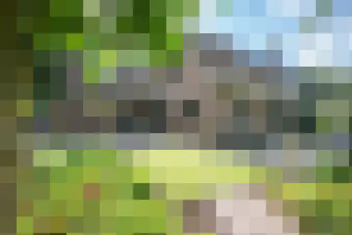Westerkimme 28 Marknesse thumbnail 6