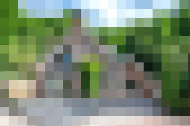 Westerkimme 28 Marknesse thumbnail 65