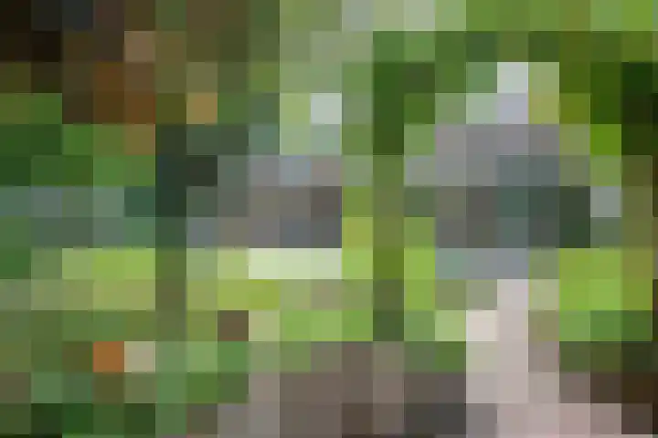 Westerkimme 28 Marknesse thumbnail 7