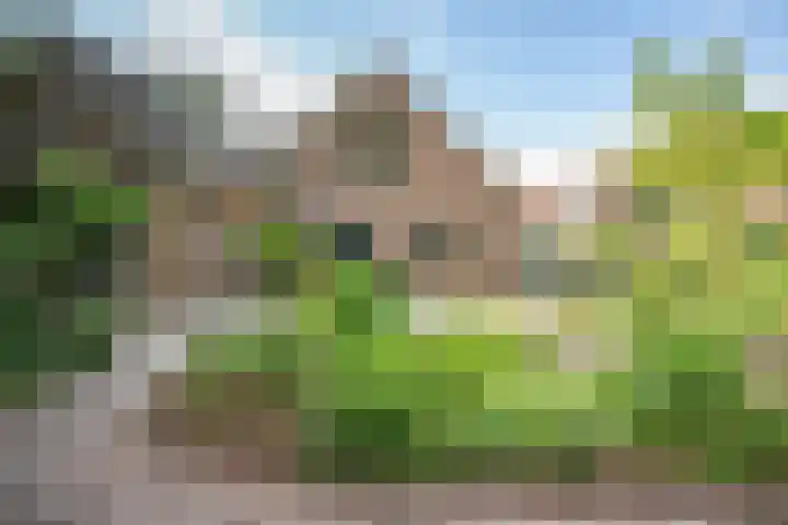 Westerkimme 28 Marknesse thumbnail 8