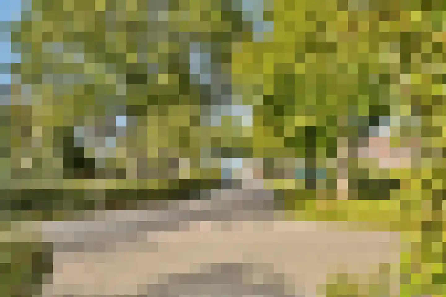 Westerklip 11 Loenen aan de Vecht thumbnail 32