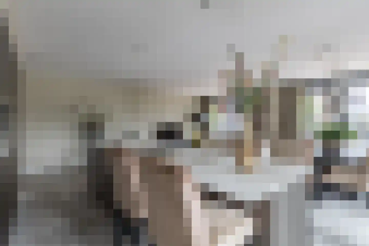 Westerkolkstraat 7 Alkmaar thumbnail 15