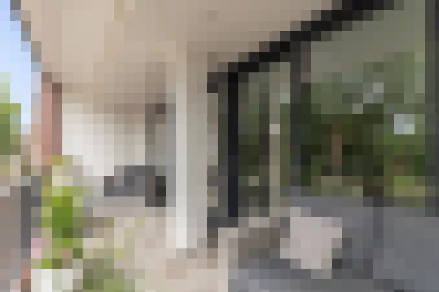 Westerkolkstraat 7 Alkmaar thumbnail 17