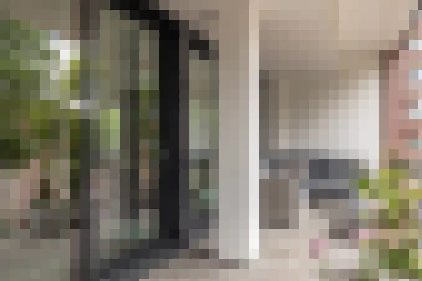 Westerkolkstraat 7 Alkmaar thumbnail 18