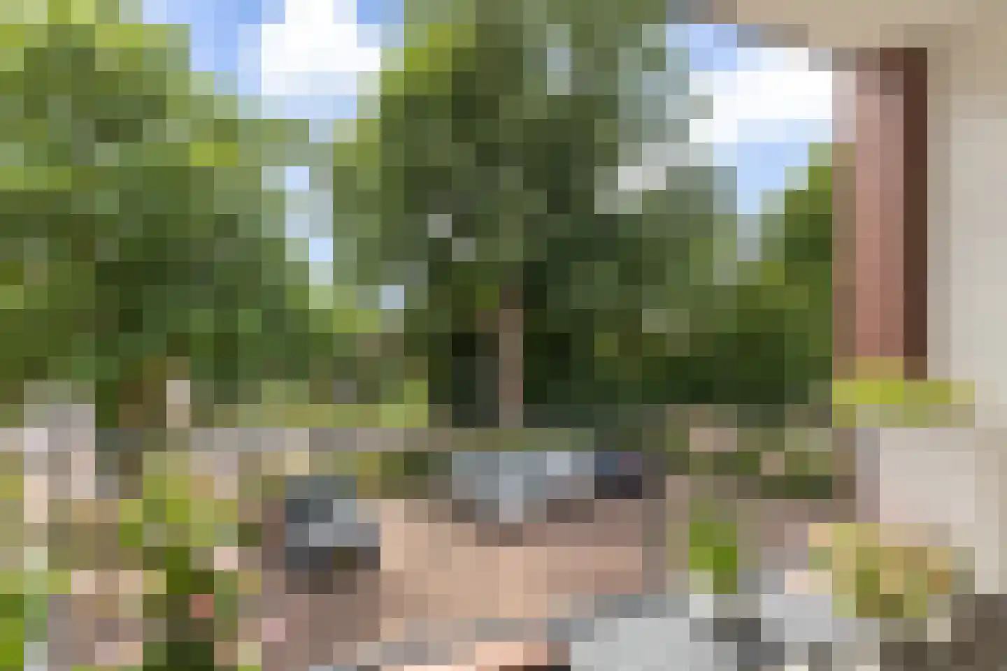 Westerkolkstraat 7 Alkmaar thumbnail 19