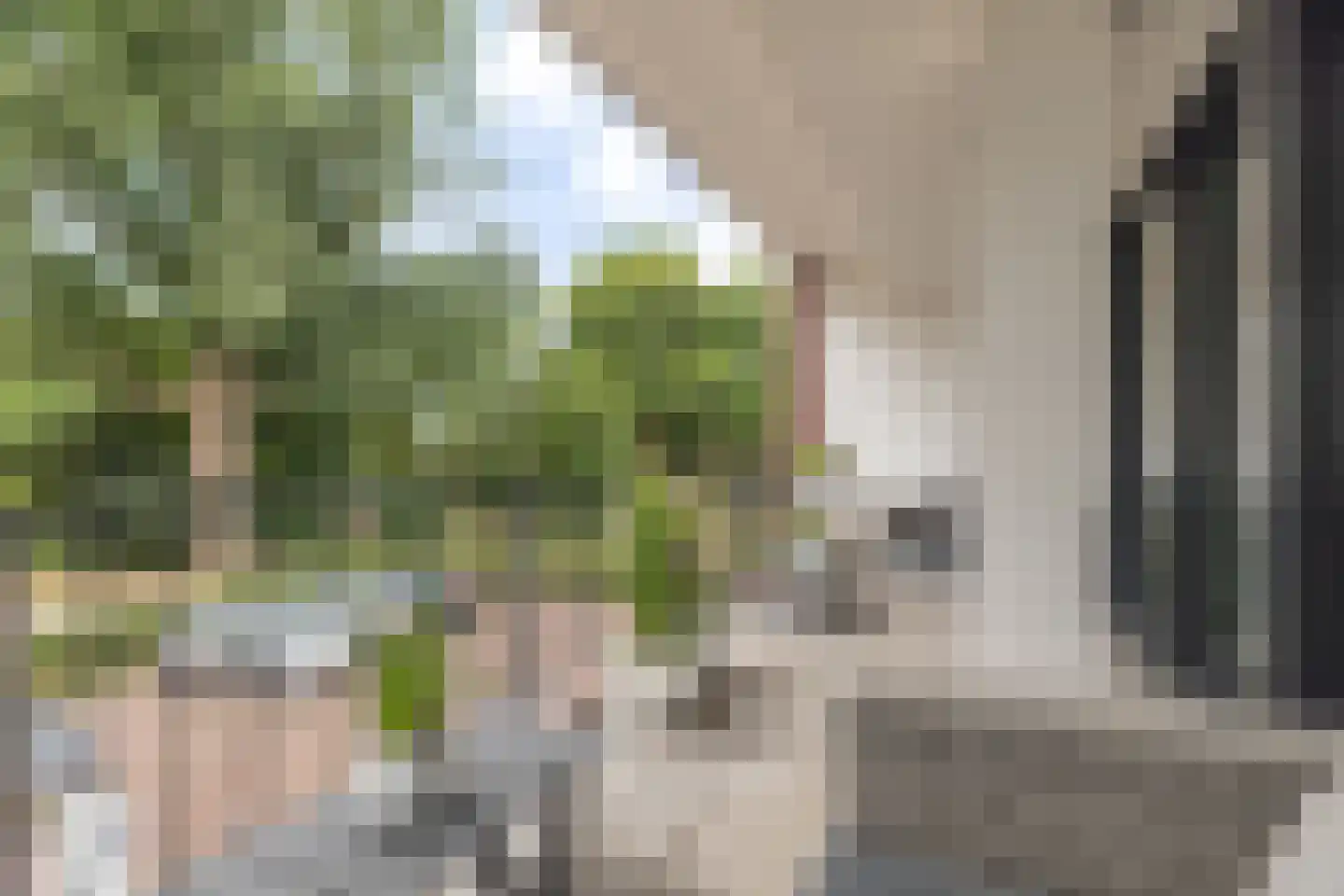 Westerkolkstraat 7 Alkmaar thumbnail 20