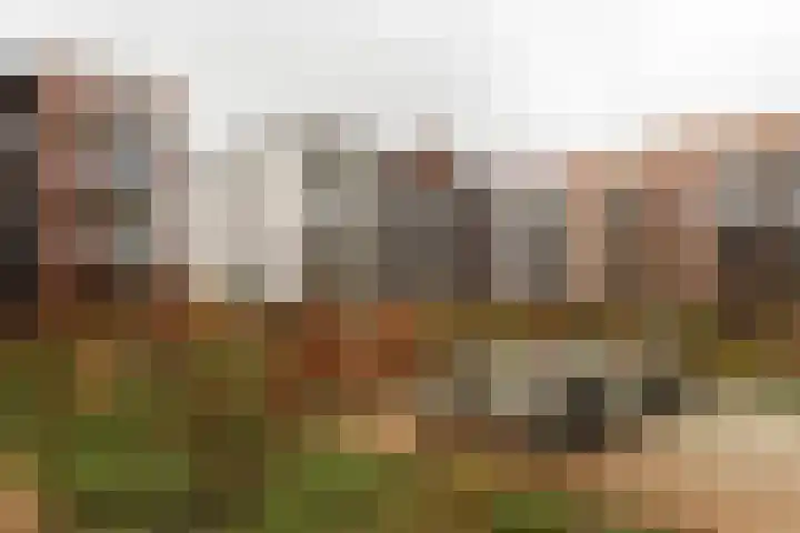 Westerkwartier 105 Nieuw-Vennep thumbnail 36