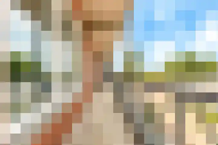 Westerkwartier 157 Nieuw-Vennep thumbnail 8