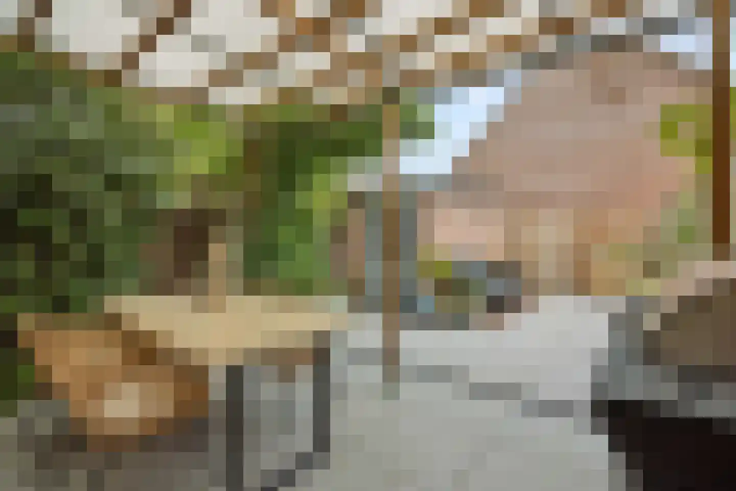 Westerkwartier 2 's-Hertogenbosch thumbnail 32
