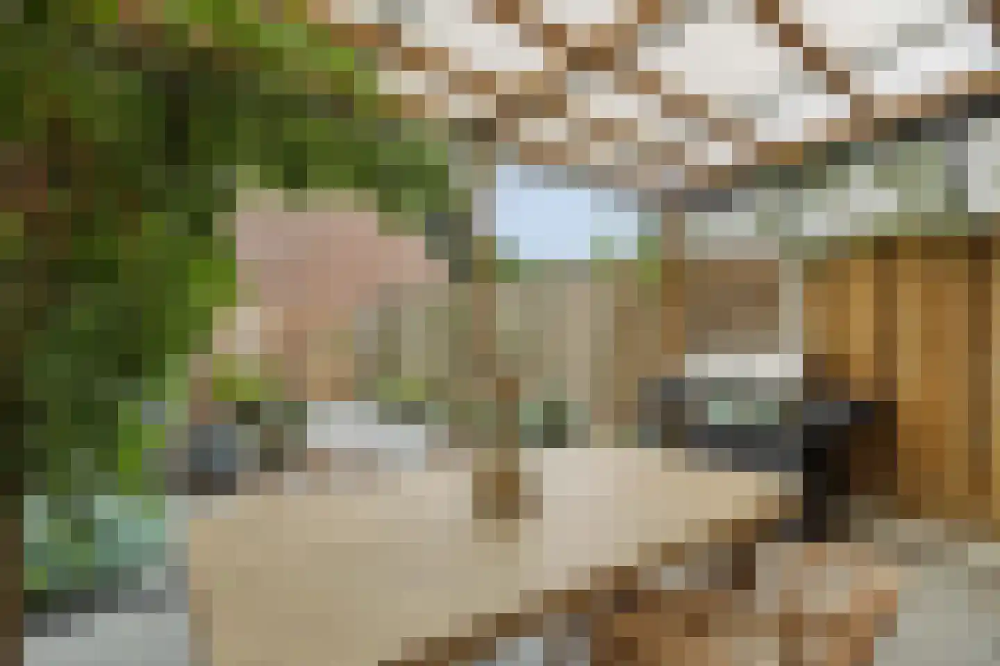Westerkwartier 2 's-Hertogenbosch thumbnail 33