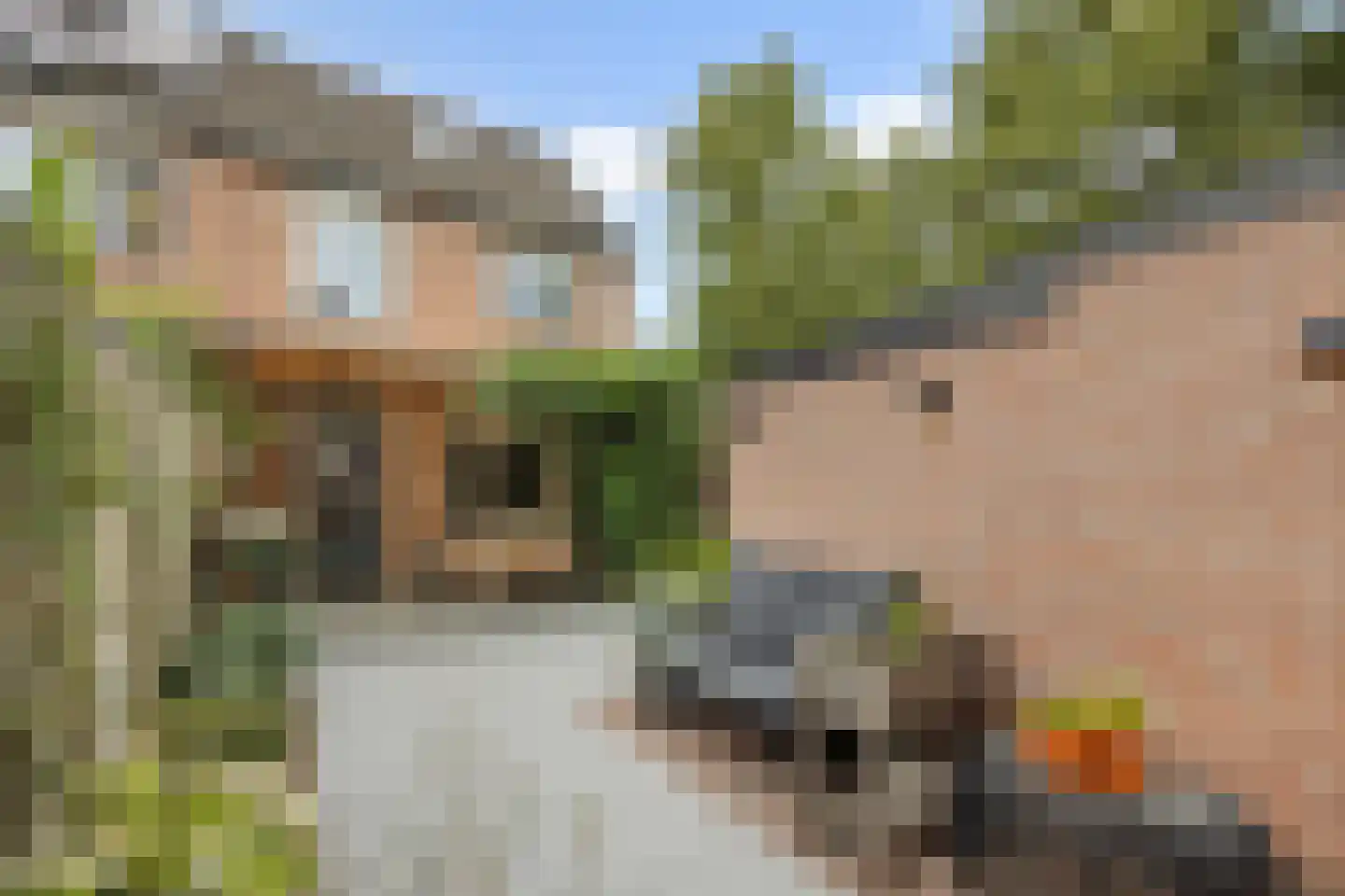 Westerkwartier 2 's-Hertogenbosch thumbnail 37