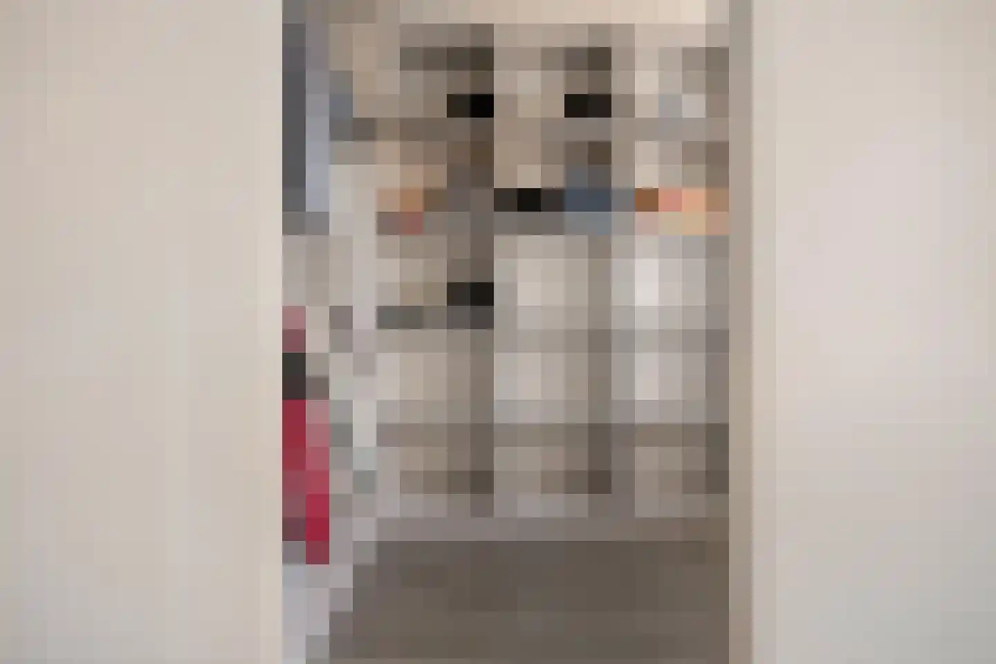 Westerkwartier 28 's-Hertogenbosch thumbnail 28