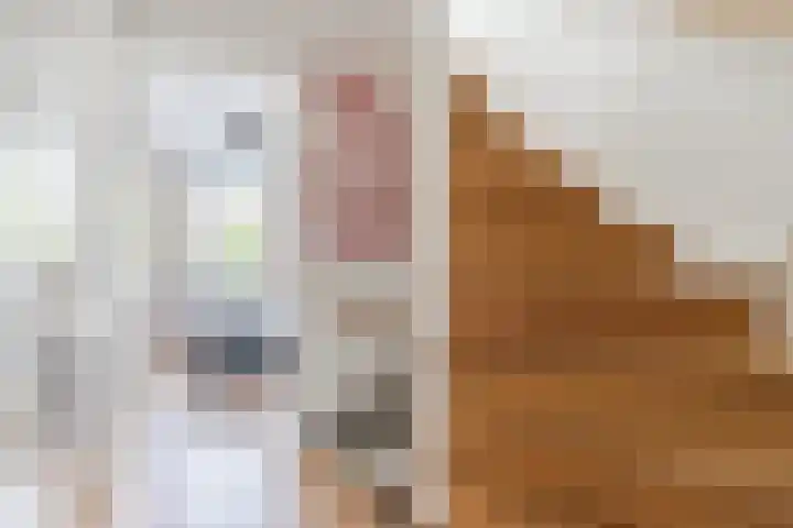 Westerkwartier 31 's-Hertogenbosch thumbnail 14