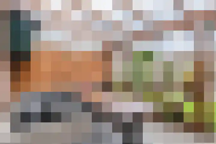 Westerkwartier 31 's-Hertogenbosch thumbnail 27