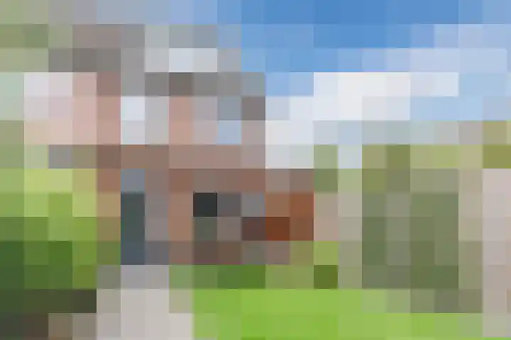Westerkwartier 31 's-Hertogenbosch thumbnail 31