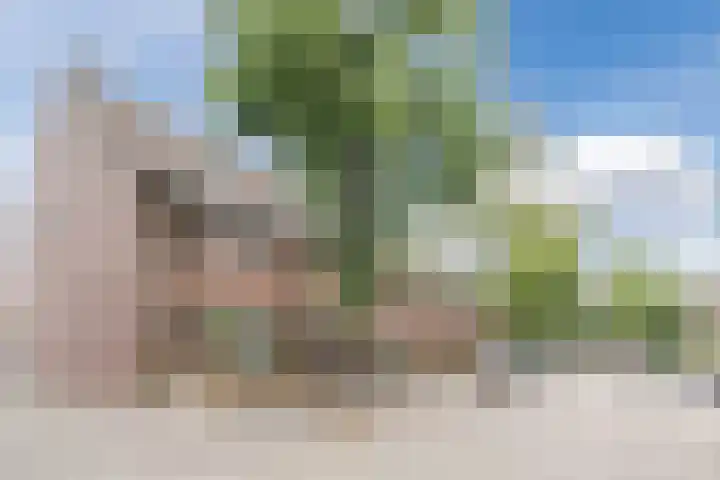 Westerkwartier 31 's-Hertogenbosch thumbnail 35