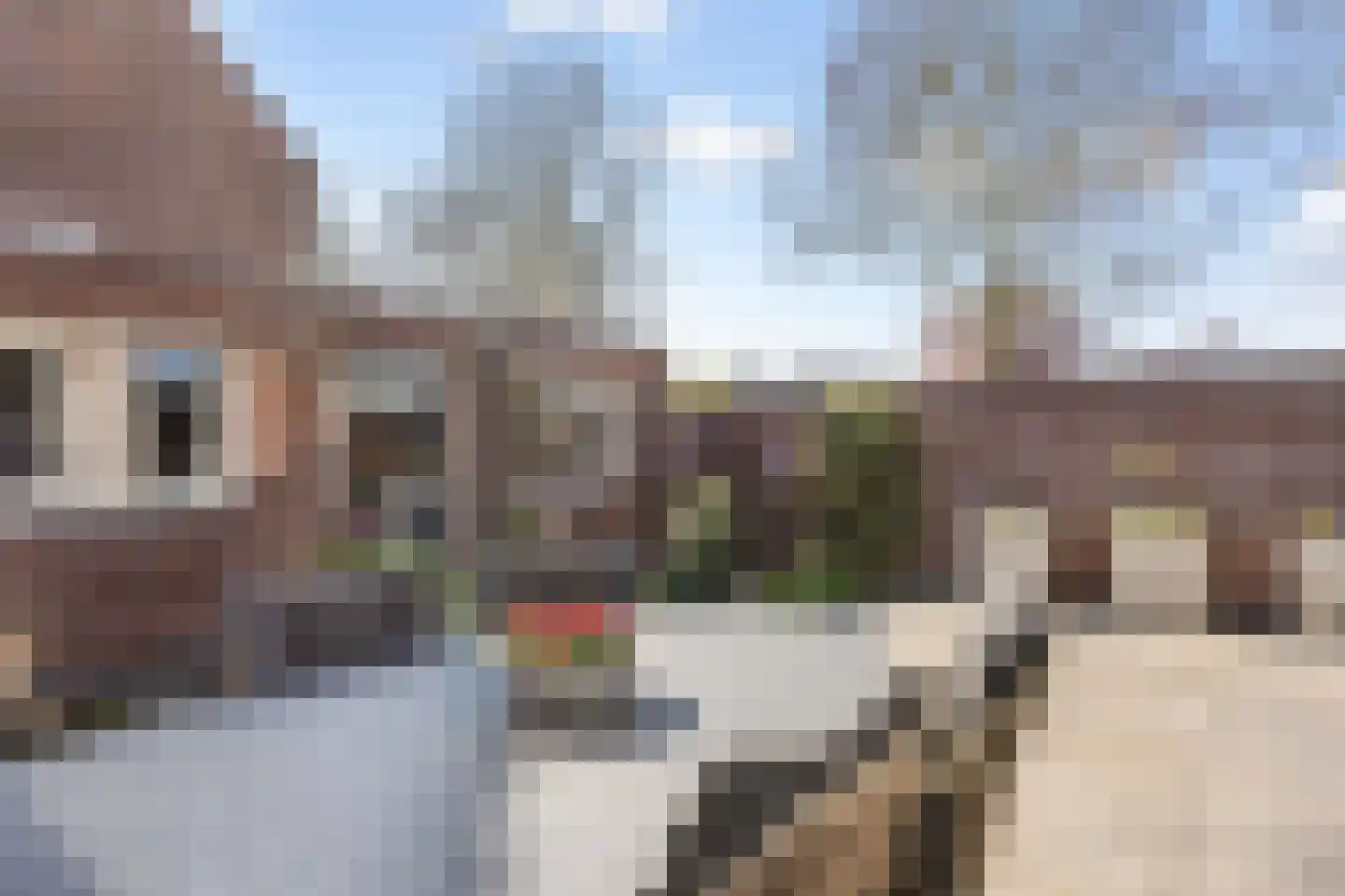 Westerkwartier 48 's-Hertogenbosch thumbnail 29