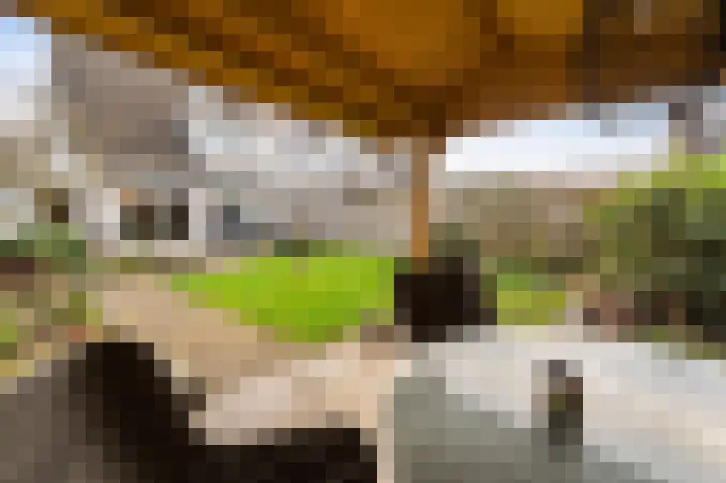 Westerkwartier 7 Emmeloord thumbnail 28