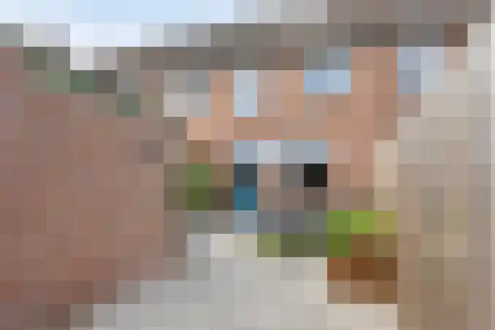 Westerkwartier 8 's-Hertogenbosch thumbnail 22