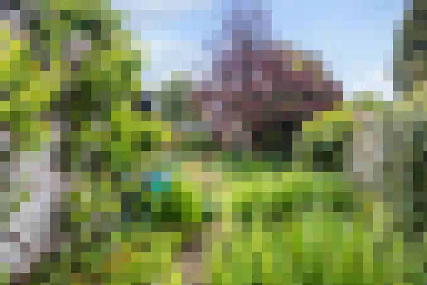 Westerlaan 10 De Bilt thumbnail 10