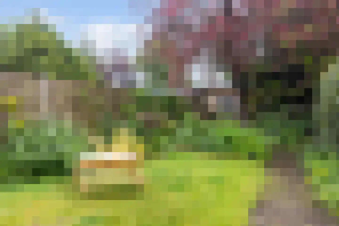 Westerlaan 10 De Bilt thumbnail 11
