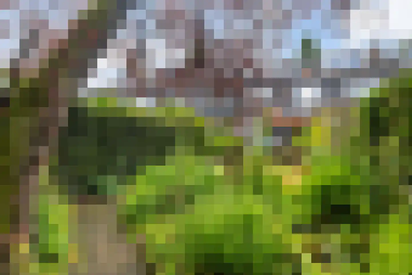 Westerlaan 10 De Bilt thumbnail 12