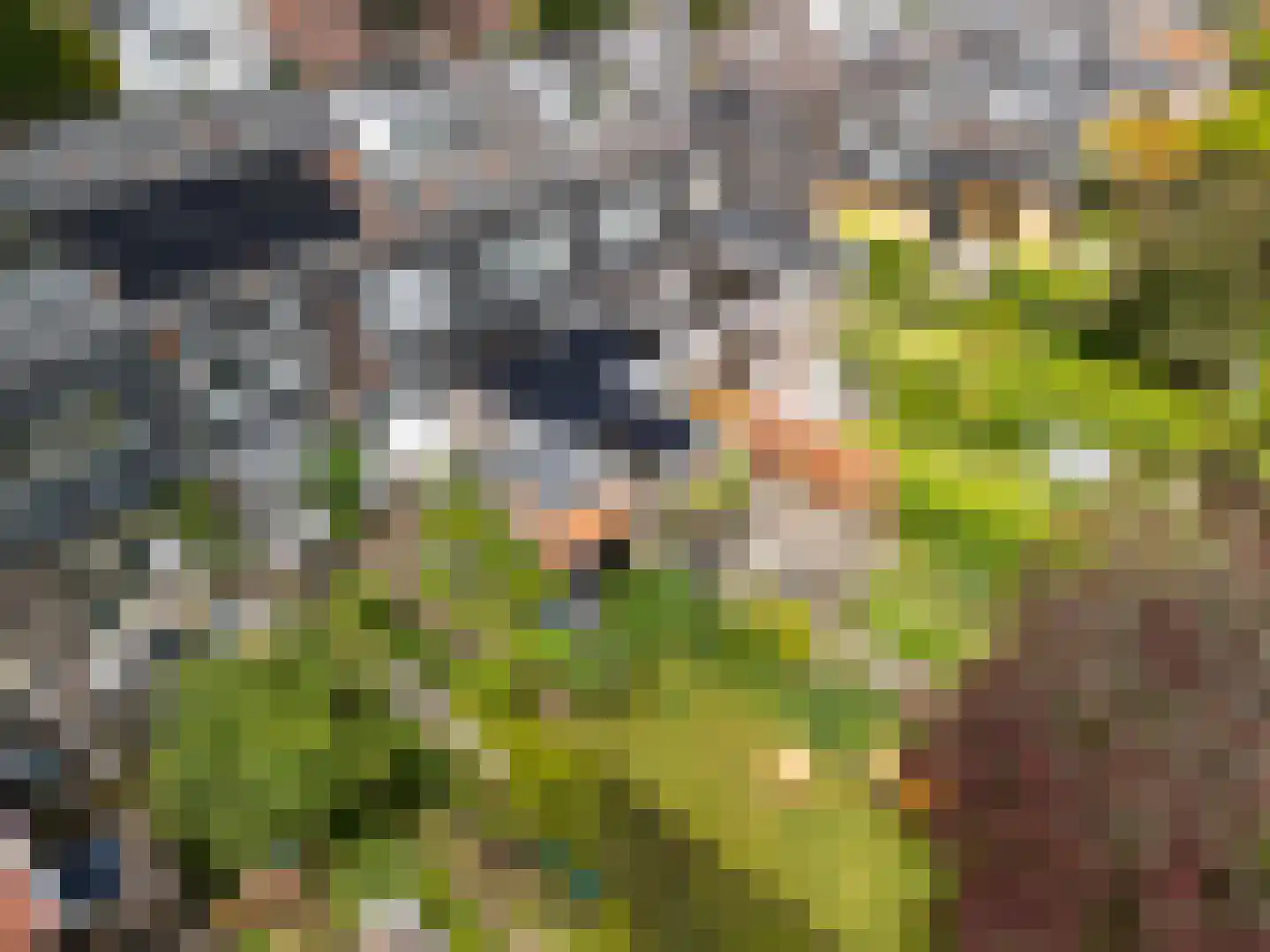 Westerlaan 10 De Bilt thumbnail 16