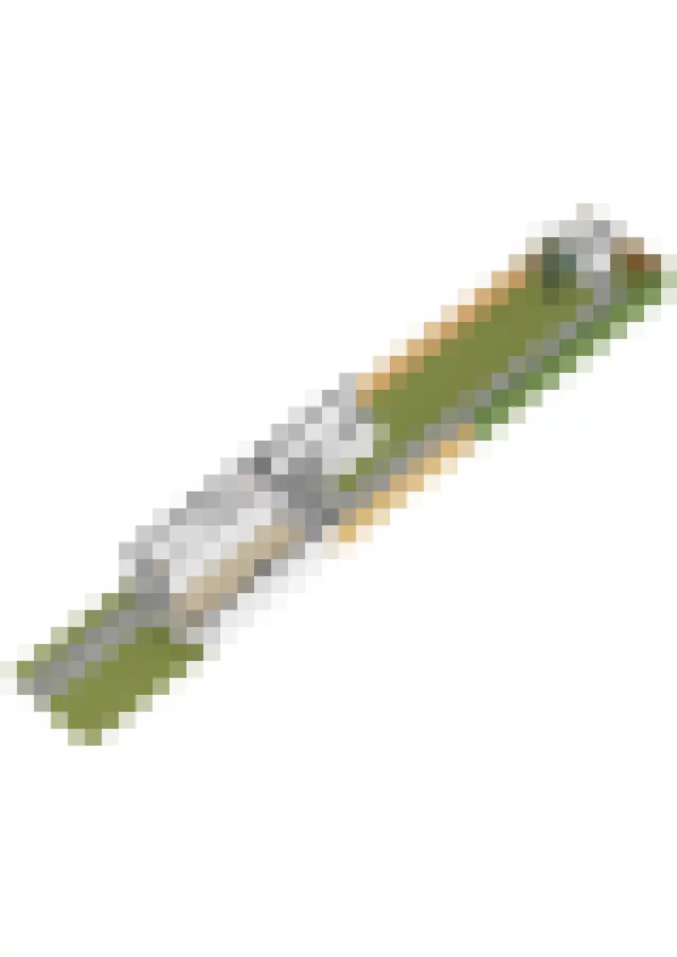 Westerlaan 10 De Bilt thumbnail 36