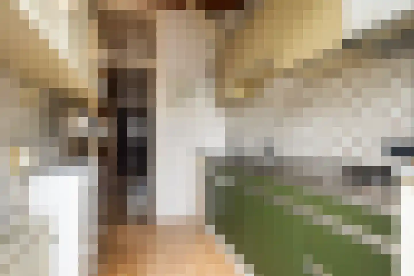 Westerlaan 10 De Bilt thumbnail 8