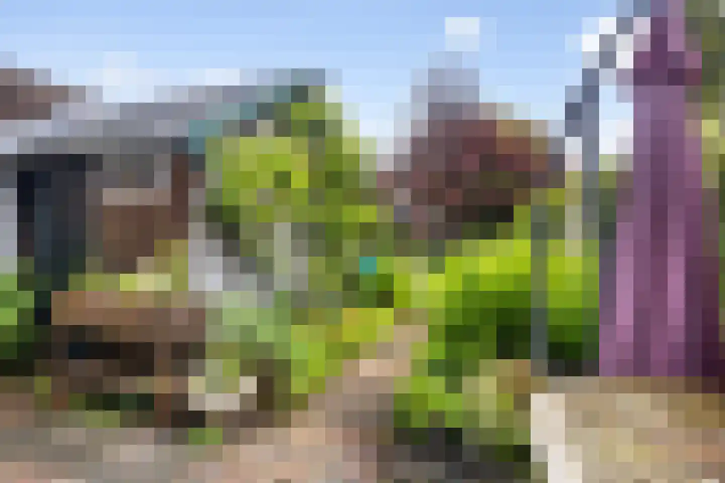 Westerlaan 10 De Bilt thumbnail 9