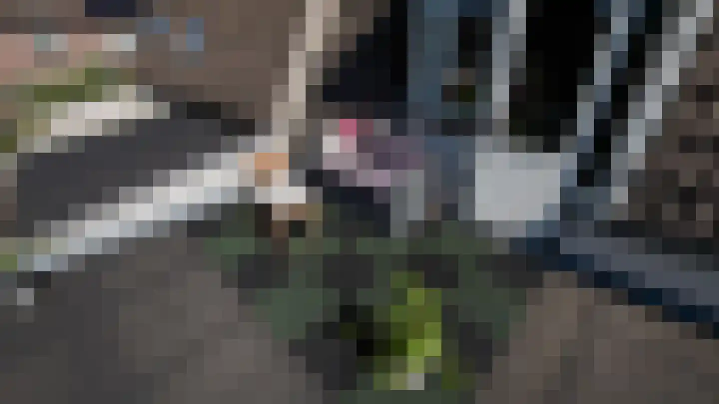 Westerlaan 15 Apeldoorn thumbnail 28