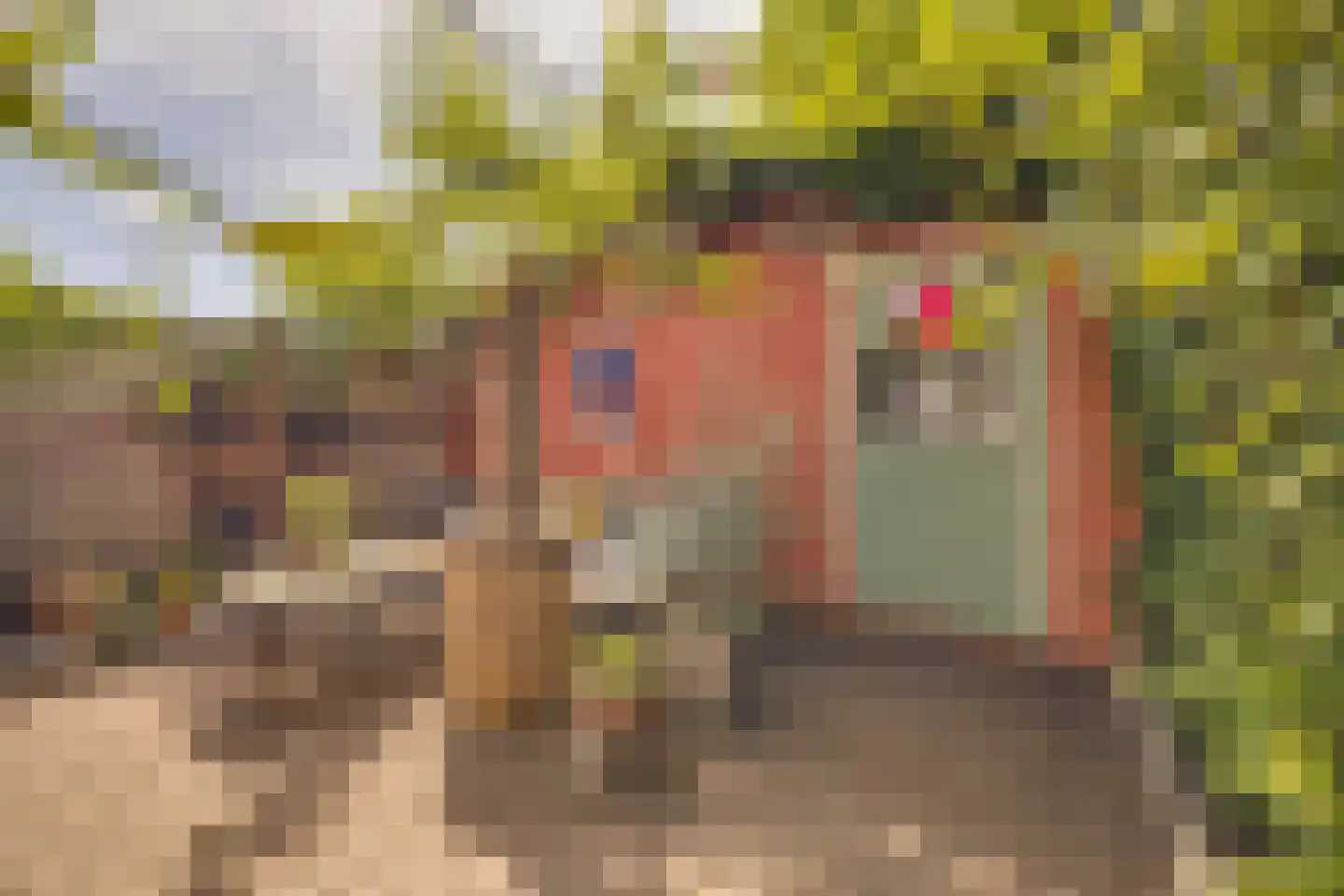 Westerlaan 15 Apeldoorn thumbnail 29
