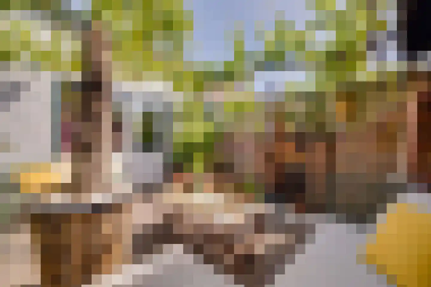 Westerlaan 15 Apeldoorn thumbnail 31