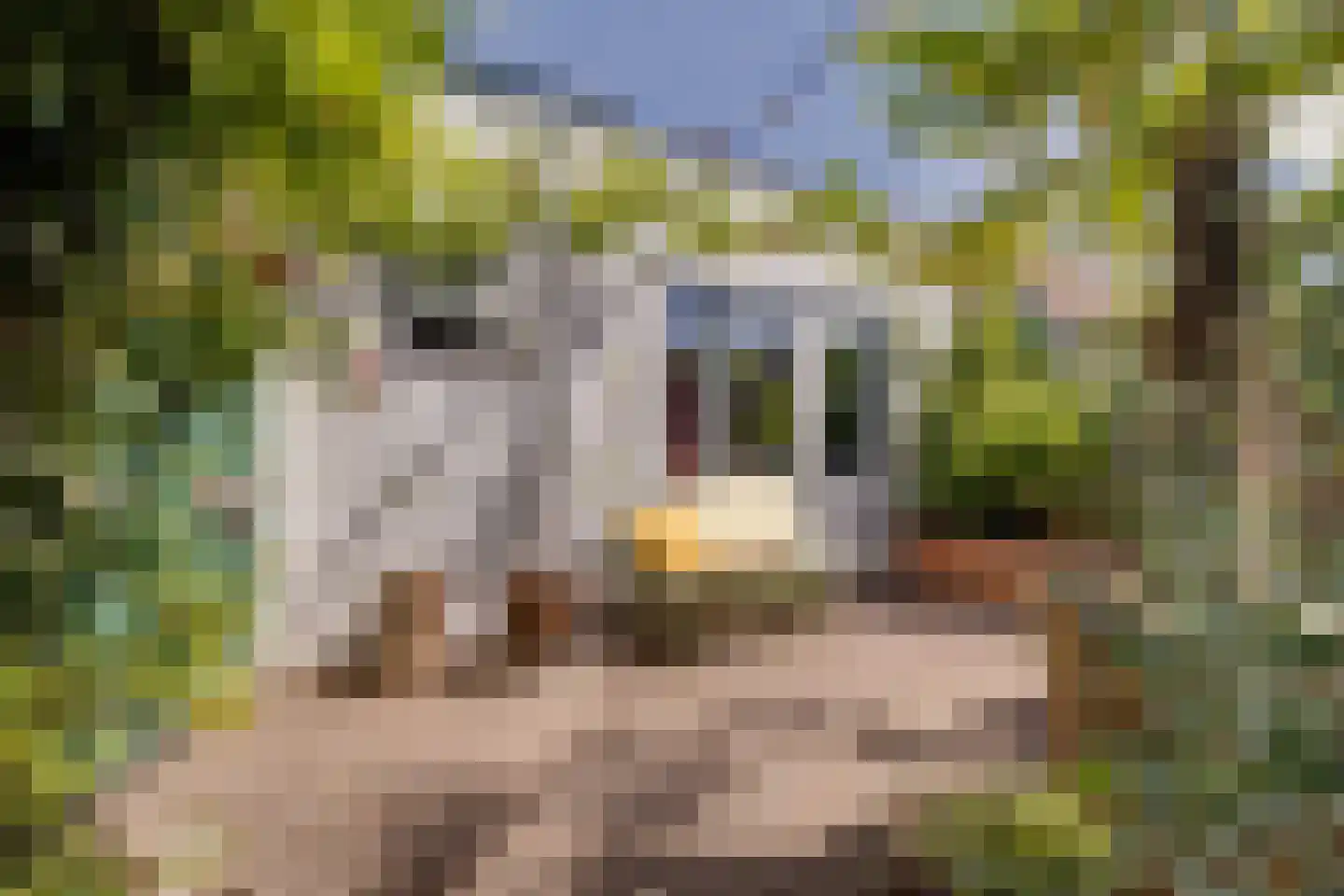 Westerlaan 15 Apeldoorn thumbnail 32