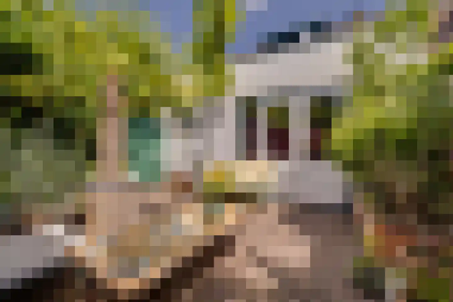 Westerlaan 15 Apeldoorn thumbnail 33