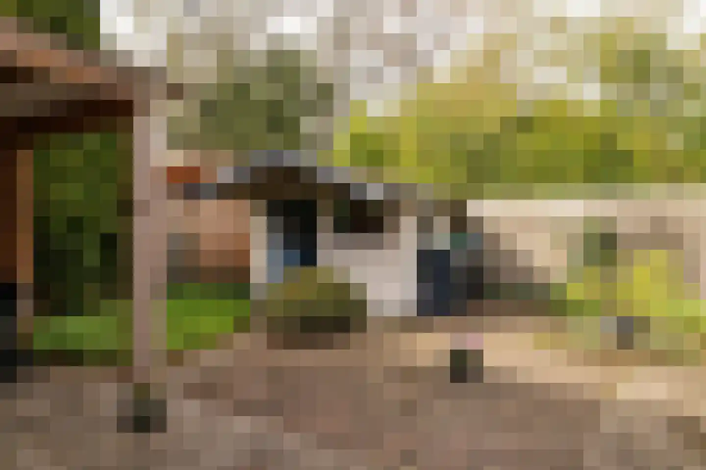 Westerlaan 20 Nunspeet thumbnail 4