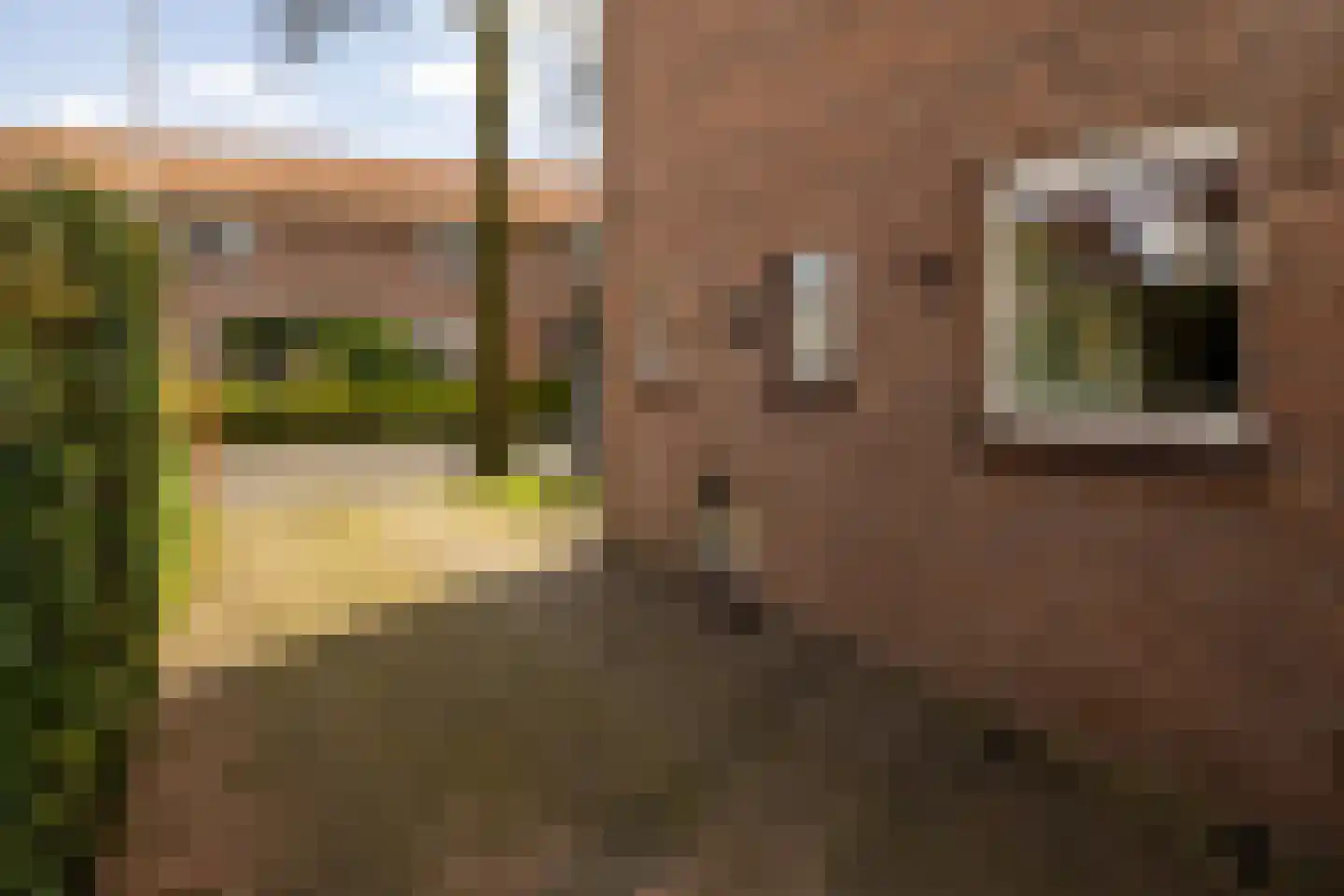 Westerlaan 20 Nunspeet thumbnail 7