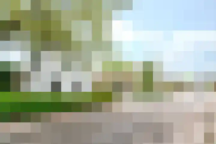 Westerlaan 30 Apeldoorn thumbnail 4