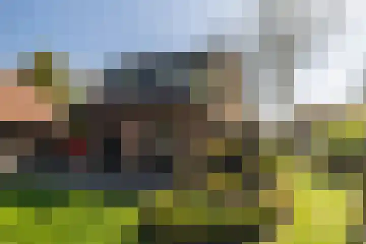 Westerlaan 32 Nunspeet thumbnail 10