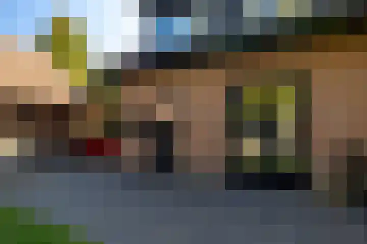 Westerlaan 32 Nunspeet thumbnail 12
