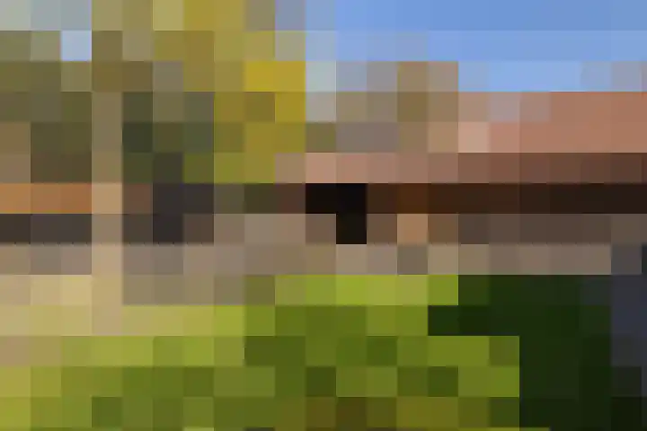 Westerlaan 32 Nunspeet thumbnail 13