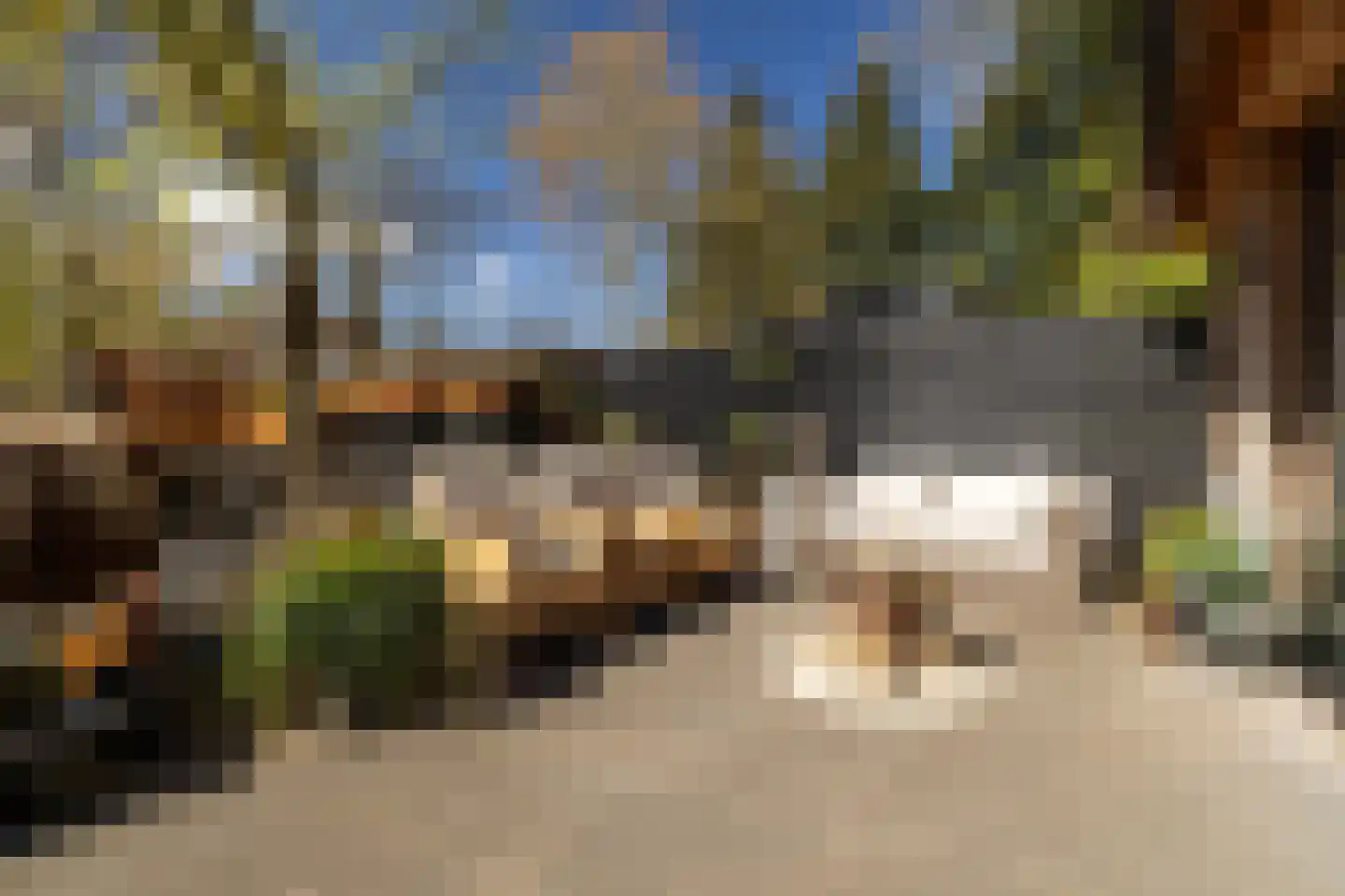 Westerlaan 32 Nunspeet thumbnail 15