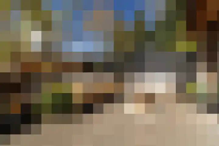 Westerlaan 32 Nunspeet thumbnail 15